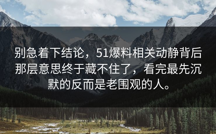 别急着下结论，51爆料相关动静背后那层意思终于藏不住了，看完最先沉默的反而是老围观的人。