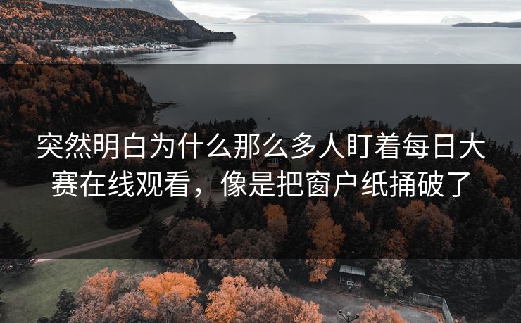 突然明白为什么那么多人盯着每日大赛在线观看,像是把窗户纸捅破了 突然明白为什么那么多人盯着每日大赛在线观看,像是把窗户纸捅破了